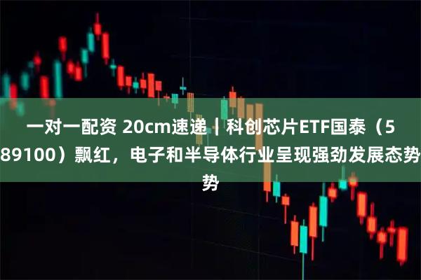 一对一配资 20cm速递｜科创芯片ETF国泰（589100）飘红，电子和半导体行业呈现强劲发展态势