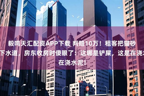 毅鸣天汇配资APP下载 判赔10万！租客把猫砂冲进下水道，房东收房时傻眼了：这哪是铲屎，这是在浇水泥！