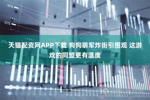 天猫配资网APP下载 狗狗萌军炸街引围观 这游戏的同盟更有温度