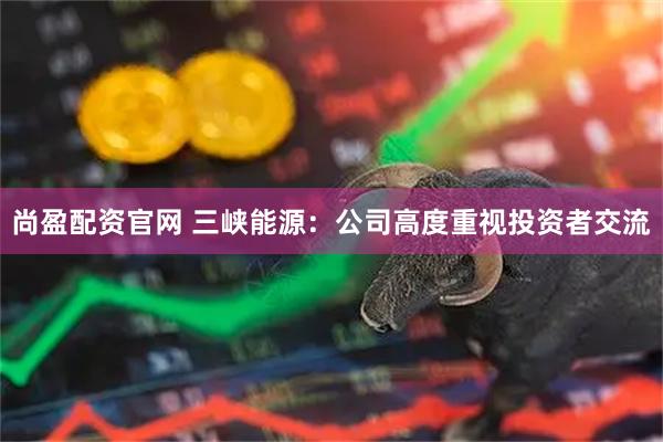 尚盈配资官网 三峡能源：公司高度重视投资者交流